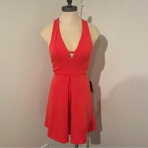 Express fit & flare dress